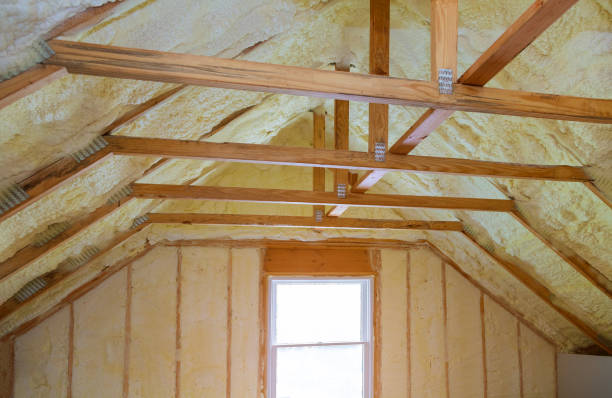 Best Specialized Insulation Services in Lake Shore, WA