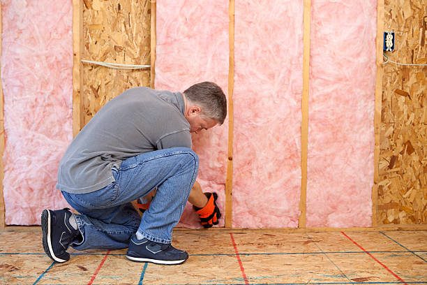 Best DIY Insulation Kits and Guidance in Lake Shore, WA