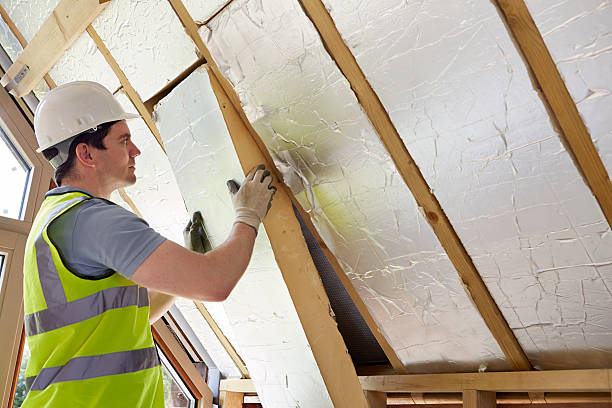 Best Cellulose Insulation in Lake Shore, WA