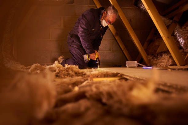 Best Residential Insulation in Lake Shore, WA