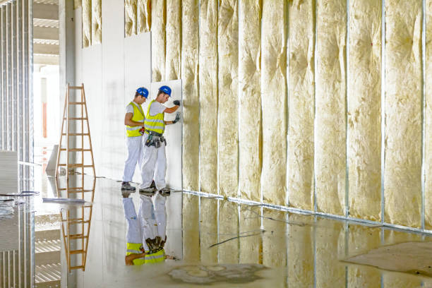 Best Insulation Maintenance and Repair in Lake Shore, WA